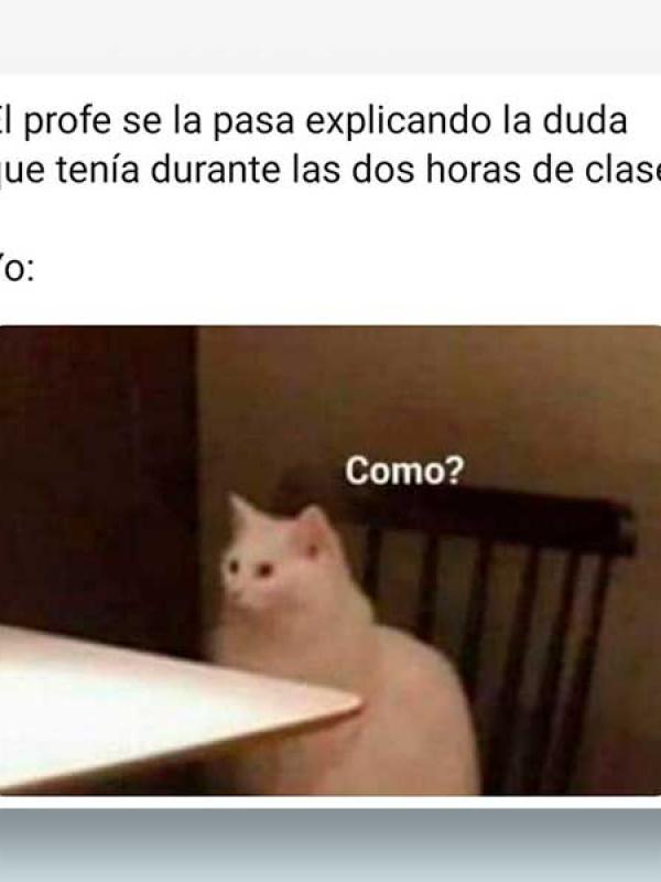 El profe se la pasa explicando