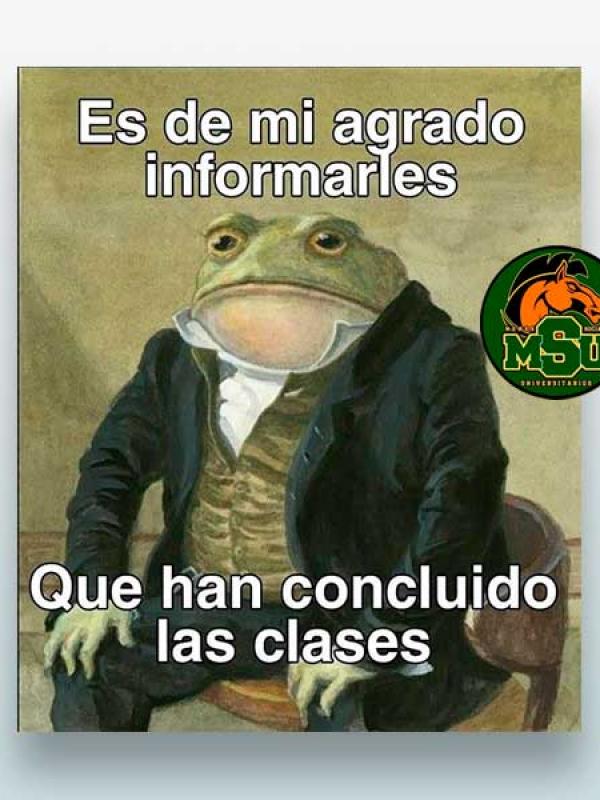 Es de mi agrado informarles...