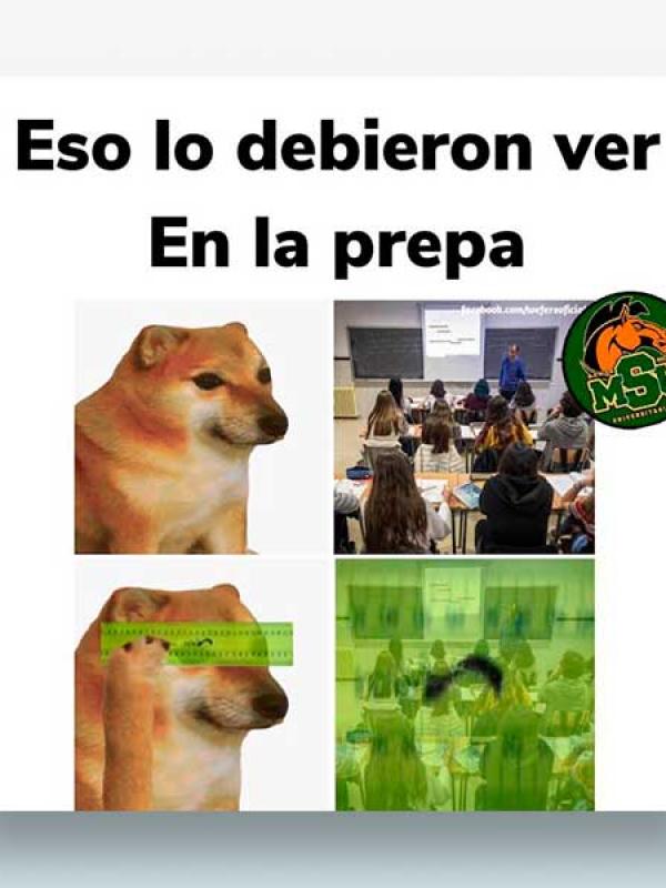 Eso lo debieron de ver 