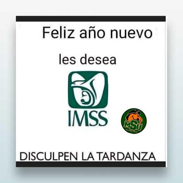 Feliz año nuevo IMSS