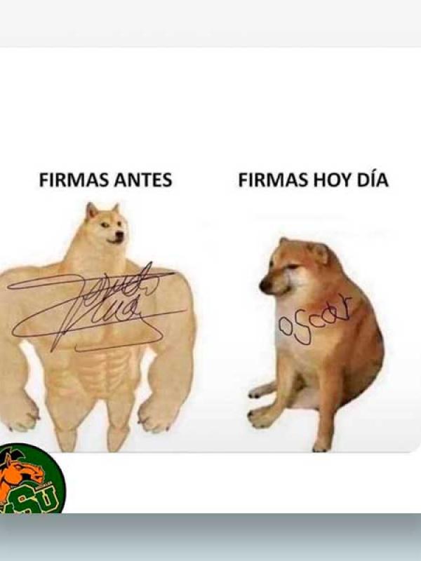 Firmas