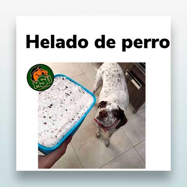 Helado de perro