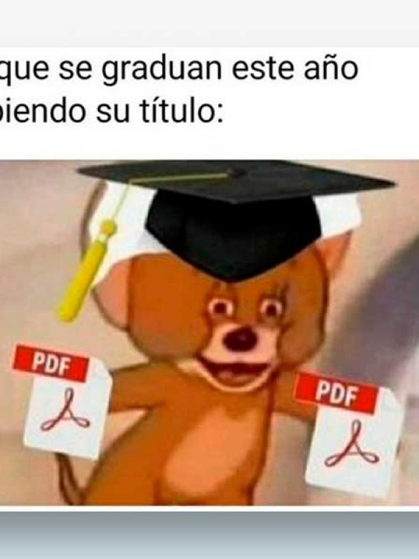 Los que se graduan este año