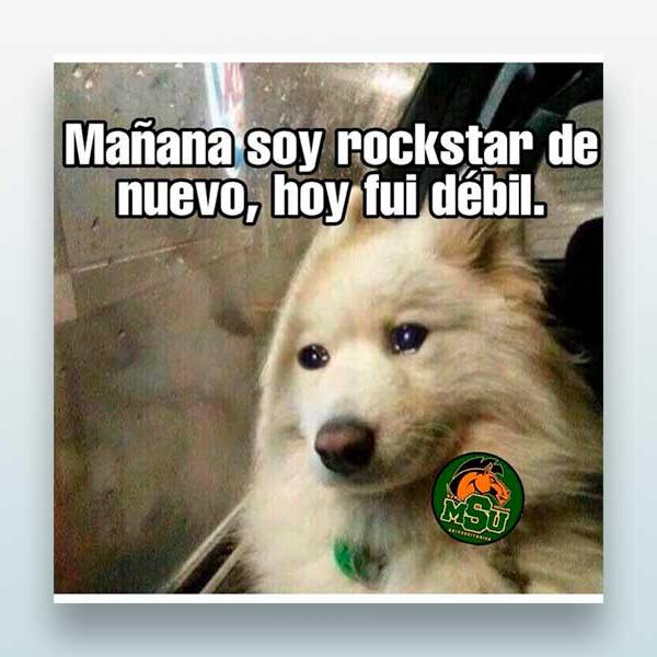 Mañana soy rockstar de nuevo