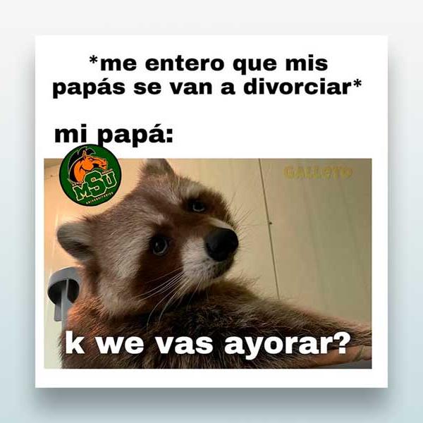 Me entero que mis papás se van a divorciar