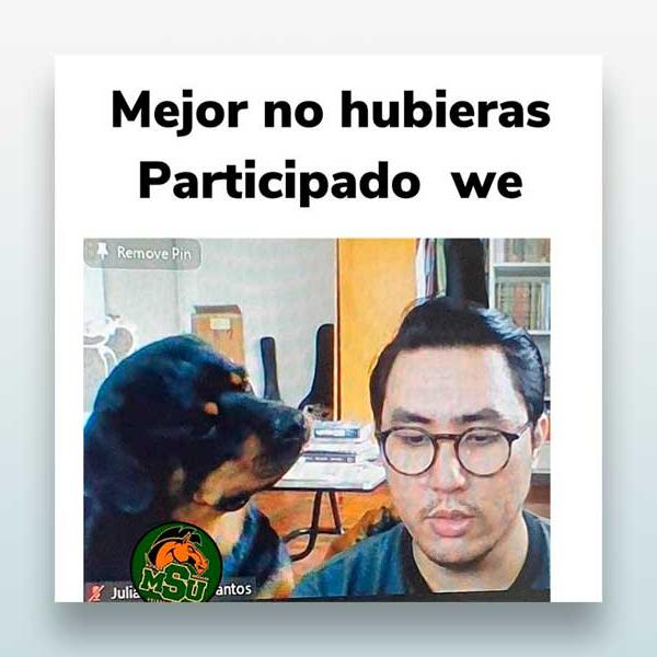 Mejor no hubieras participado