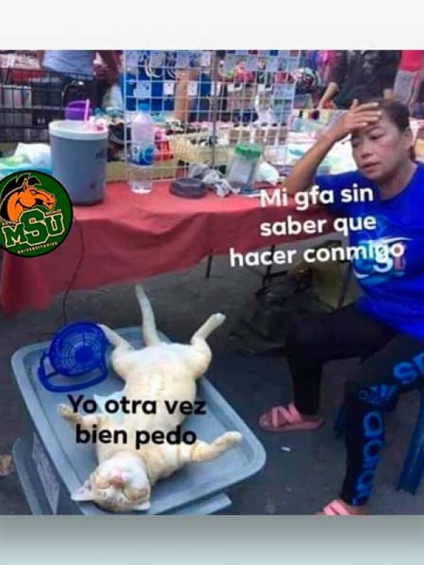 Mi jefa sin saber que hacer conmigo