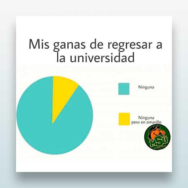 Mis ganas de regresar a la universidad