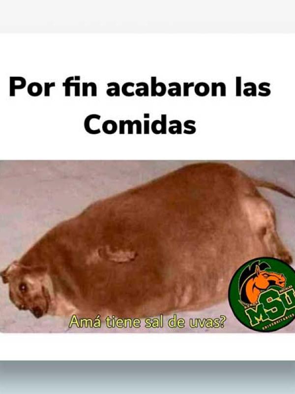 Por fin acabaron las comidas