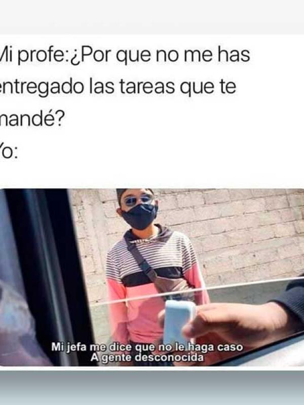 ¿Por que no me has entregado las tareas que te mandé?