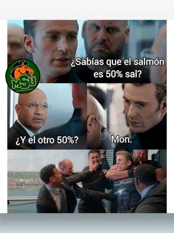 ¿Sabías que el salmón es 50% sal?