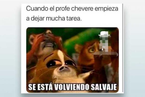 Se esta volviendo salvaje