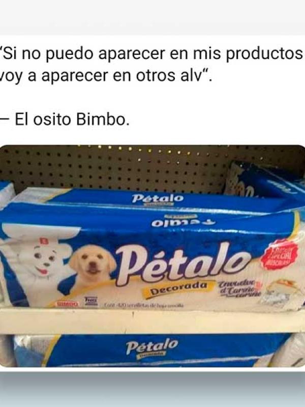 Si no puedo aparecer en mis productos