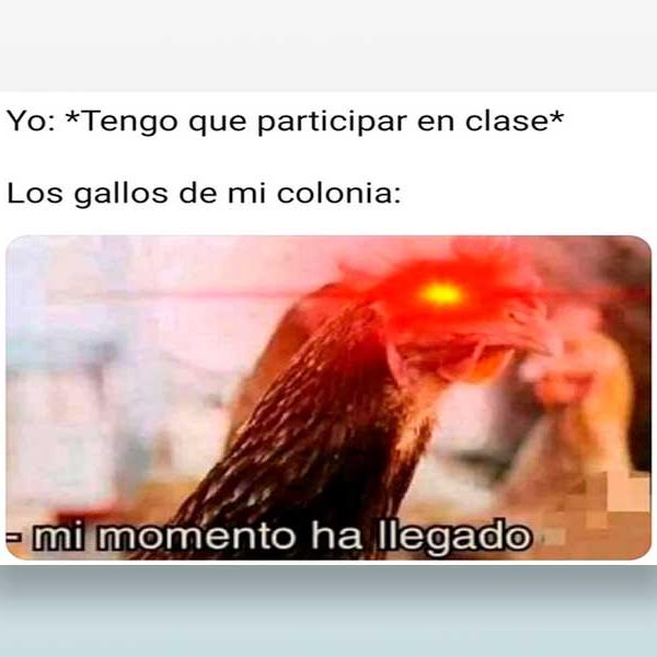 Tengo que participar en clase...