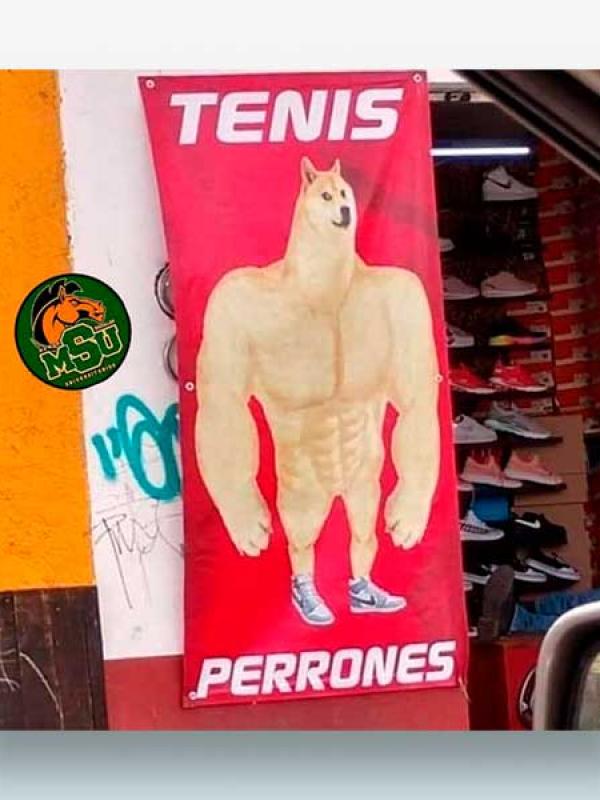 Tennis perrones