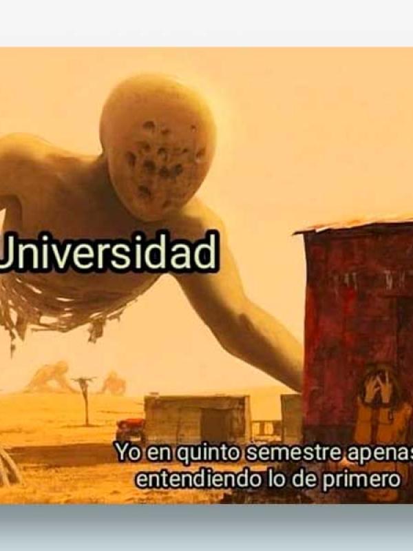 Universidad