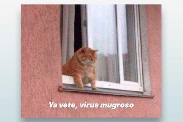 Ya vete, virus mugroso