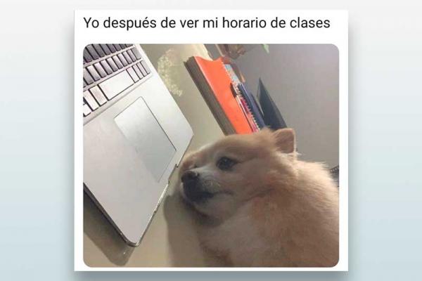 Yo después de ver mi horario de clases