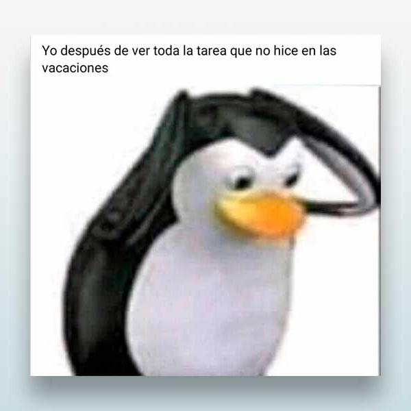 Yo después de ver toda la tarea 