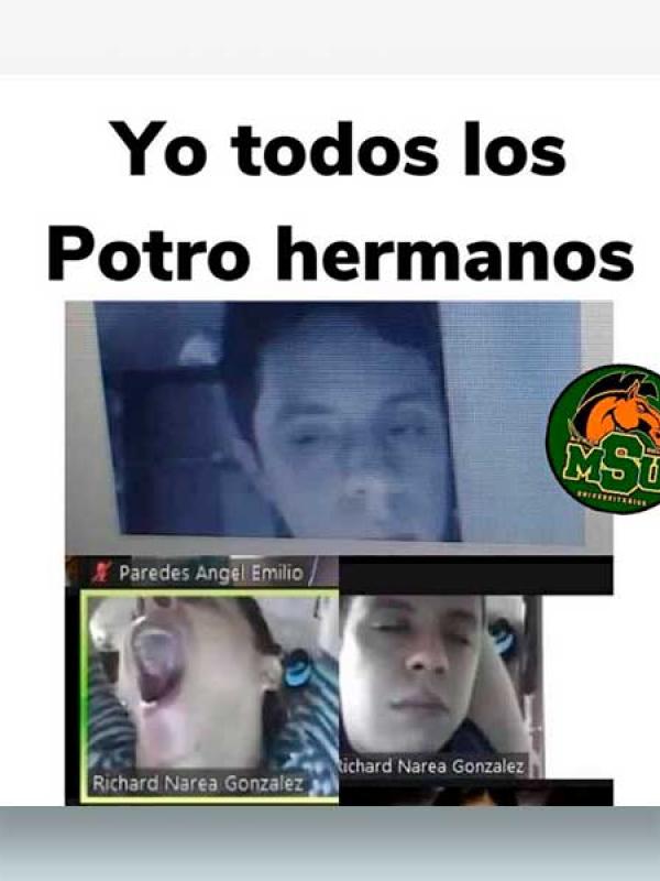 Yo todos los potro hermanos